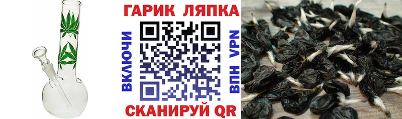 что такое наркотик Чишмы ГАШИШ гашик