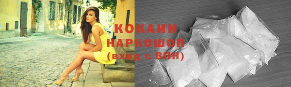 индика Михайловка