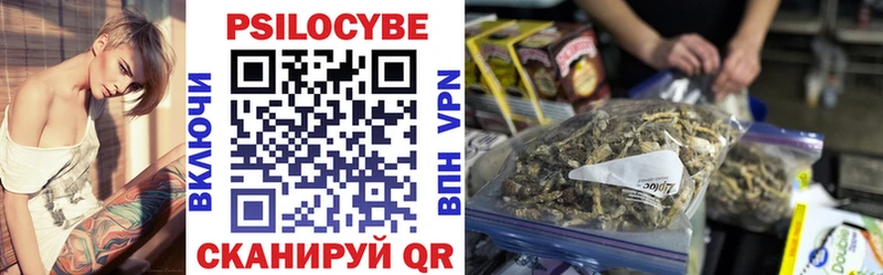 даркнет сайт  Чишмы  Галлюциногенные грибы Psilocybine cubensis 